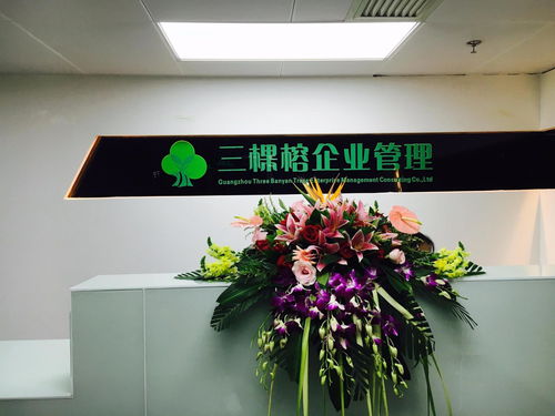 專業(yè)賦能，助力成長 廣州三棵榕企業(yè)管理顧問的價值與實踐